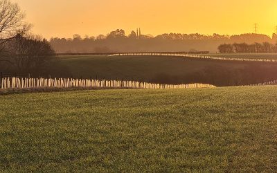 Estate hedge project sees thousands of plants planted