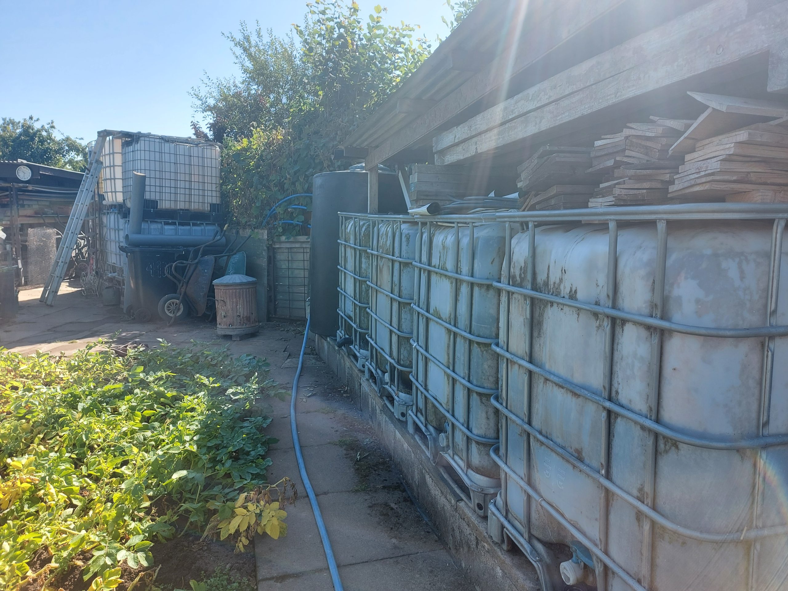 Apley Estate delights at the sustainability progress made by their allotment holders.