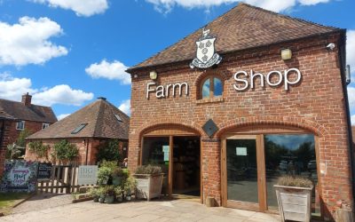 Fab-brew-less business partnership still brewing after 14 years!