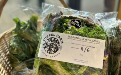 Sorrel Farm salad bags now stocked at Apley Farm Shop | June 2023