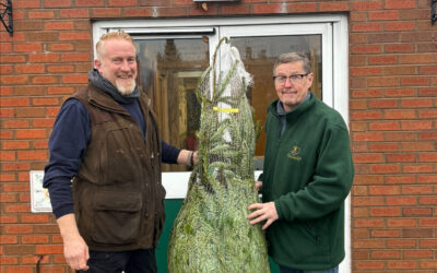 Estate donates Christmas Trees to local schools